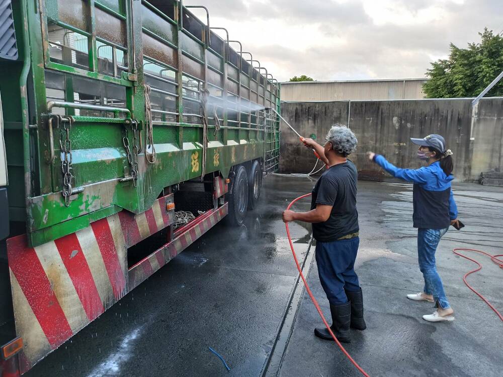 新北市成防疫典範 家禽飼養場生石灰消毒大作戰 - 早安台灣新聞 | Morning Taiwan News