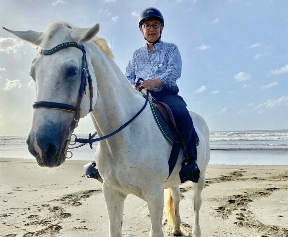 活化后里馬場 新型態曝光  六月每週末舉辦「馬馬音樂季」