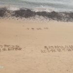 馬祖西莒島阿兵哥在西莒沙灘上寫著「馬防部伙房都沒肉，肚子餓都吃罐頭泡麵」。（圖：陳竑任臉書）