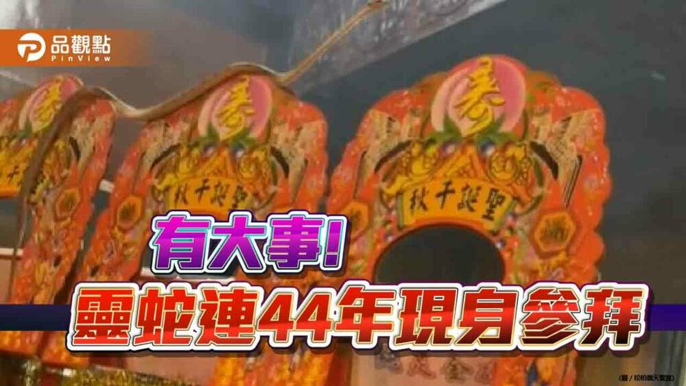 有大事?!靈蛇連續44年不缺席，現身參拜!