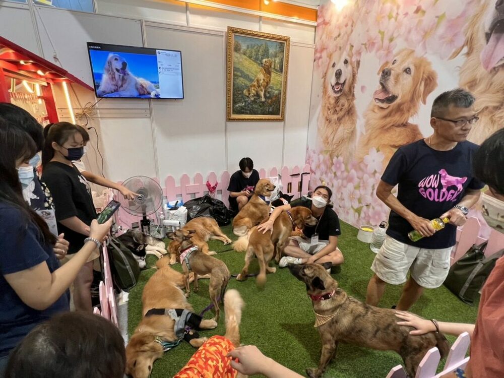 台北寵物展 VOOCOO蔚刻發起「你認養我贊助」活動