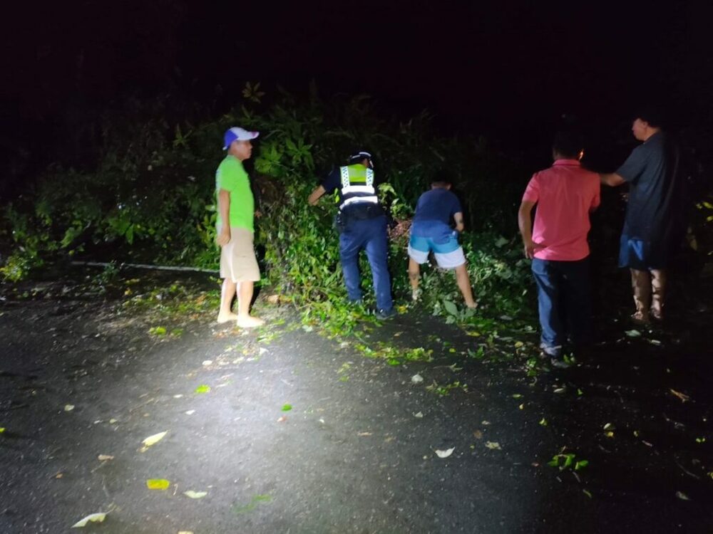 強風吹倒路樹阻通行 龍潭警民摸黑清運