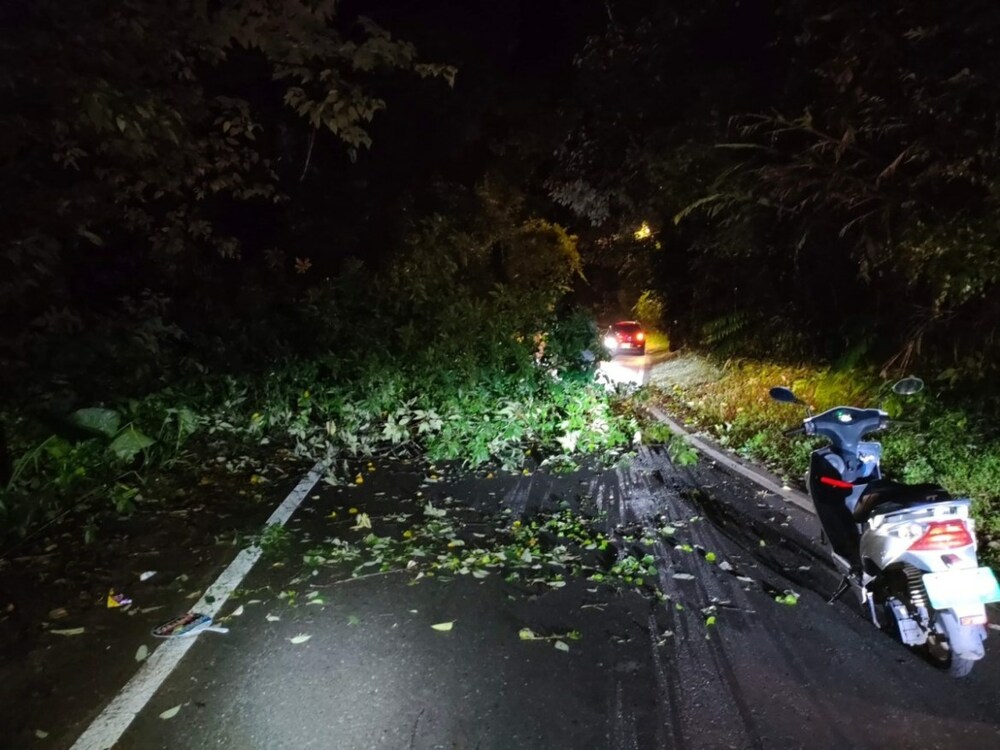 強風吹倒路樹阻通行 龍潭警民摸黑清運 - 早安台灣新聞 | Morning Taiwan News