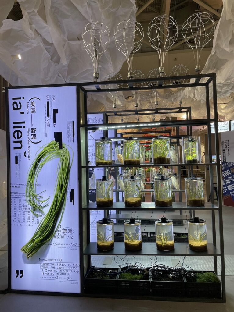 世界客家博覽會高雄展區 實驗野蓮引民眾駐足