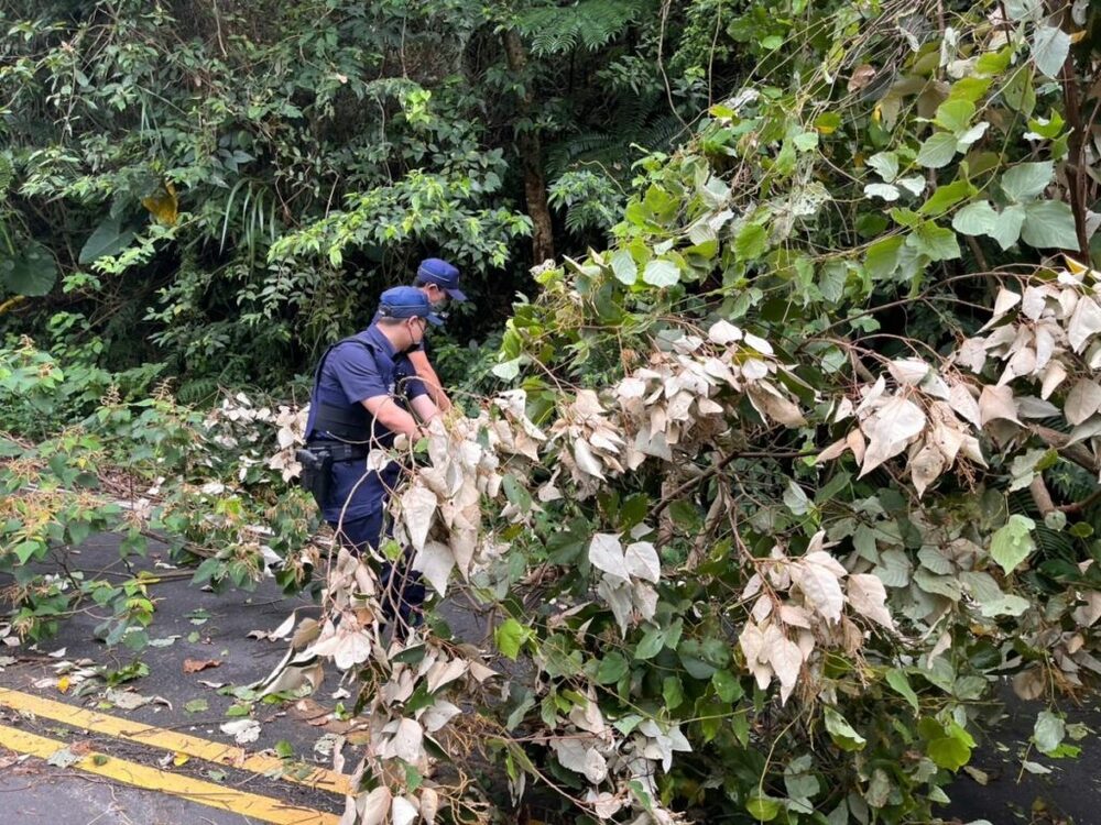 卡努颱風吹倒路樹 龍警半小時恢復交通順暢