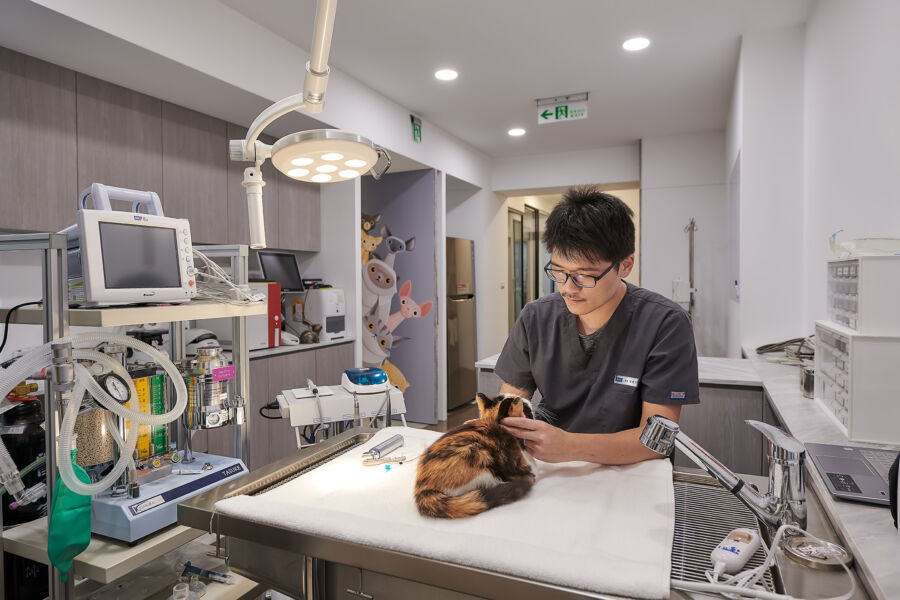 毛小孩體重減輕！獸醫曝「可能生病了！」-法國皇家鼓勵養成定期健檢習慣！