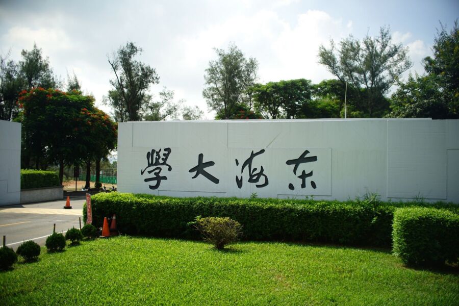 私校之光！東海大學年輕學者成科研之星　化學系副教授王迪彥奪下吳大猷先生紀念獎