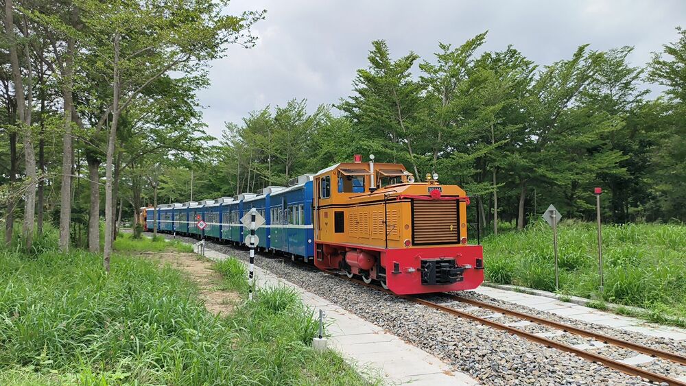 蒜糖復古列車5組候選好名出爐　即起邀全民票選最終名大獎也等著您 - 早安台灣新聞 | Morning Taiwan News