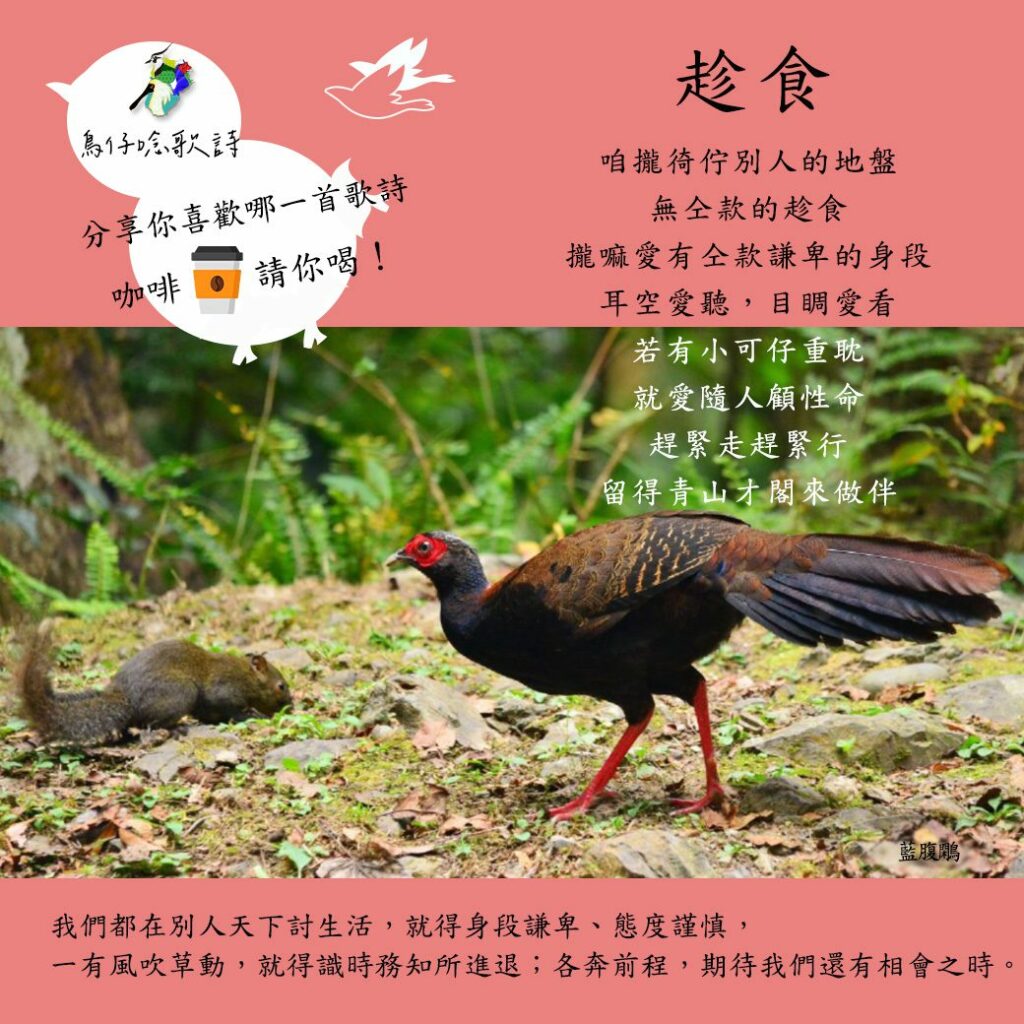 2023觀鳥馬拉松趣味生態教育　鳥仔唸歌送咖啡好康最後三天