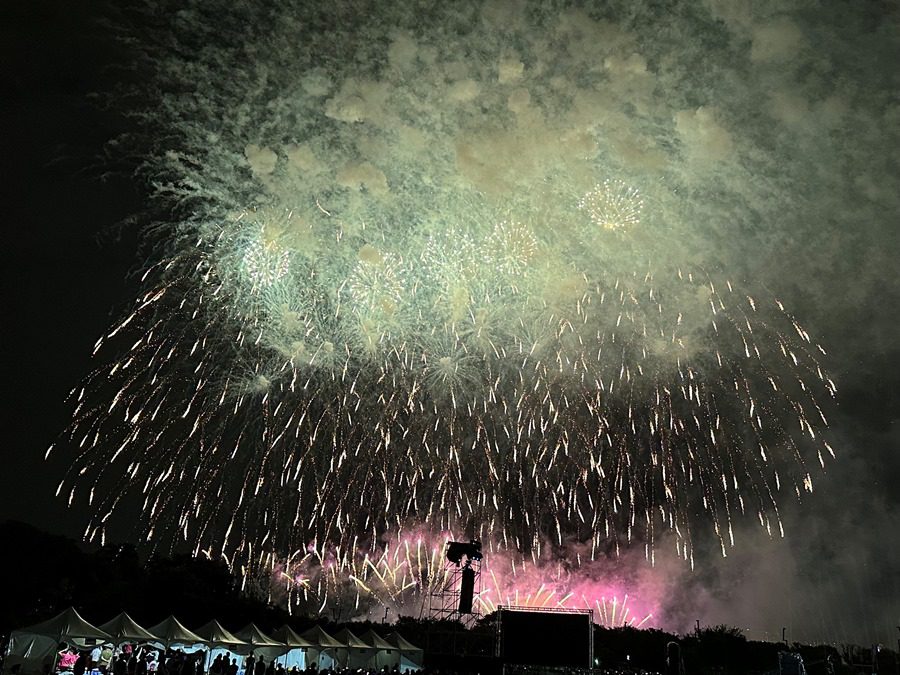 36分鐘焰火秀國慶焰火秀，為台中中央公園夜空點起精采奪目的煙花美景。(圖/記者林均和攝)