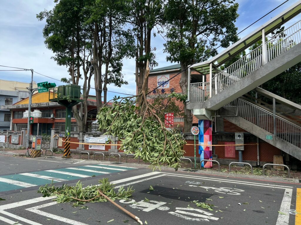 小犬掀強風吹倒路樹 平警攜手里長及時排除