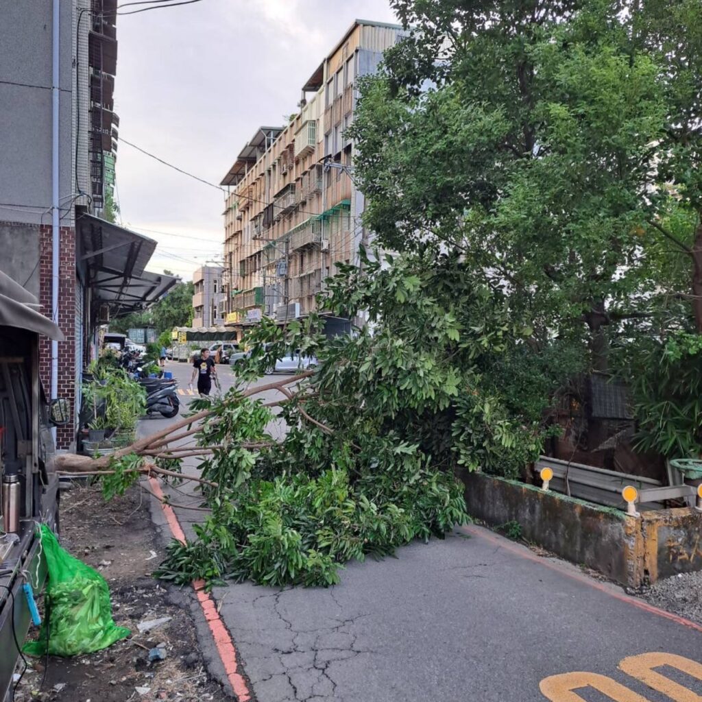 小犬颱風過境樹倒水塔飛 桃警協助排除助解危