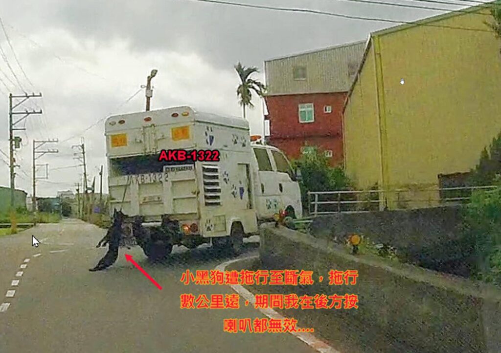 黑狗遭捕犬車拖行至斷氣？桃園動保處曝真相