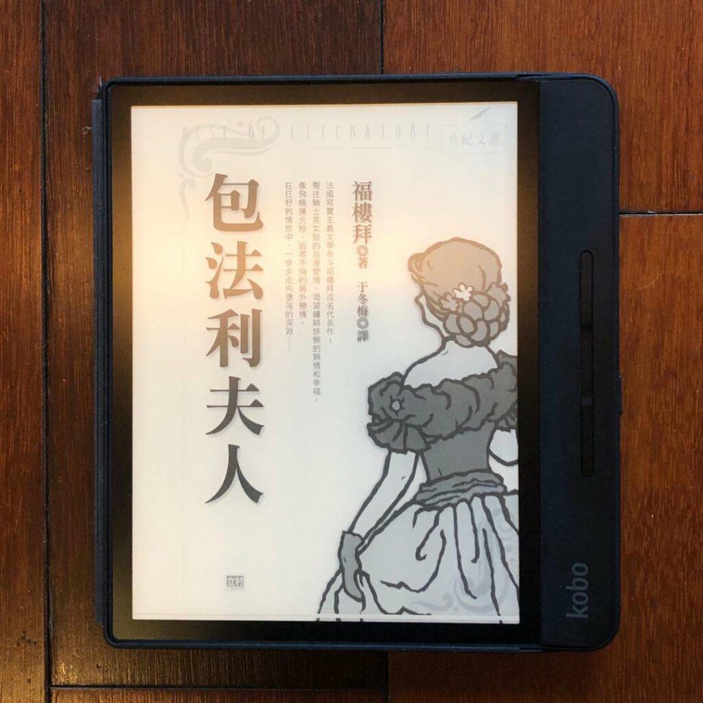 副刊-/-一廂情願的極致是毀滅——《包法利夫人》