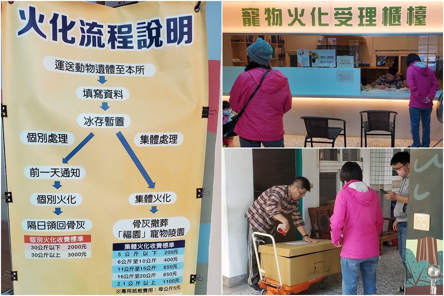 送毛孩最後一程！　焚化處理程序及收費標準報您知