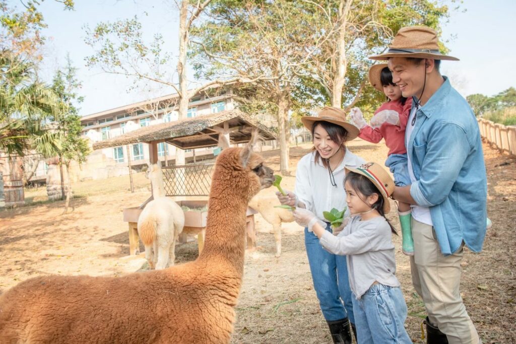 全台小學童有福了！-抗寒暖心招待六福莊入住不加價
