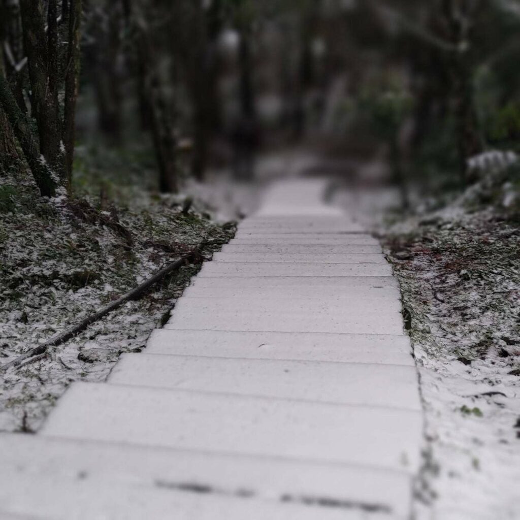 入冬最強寒流-桃園東眼山睽違8年降雪