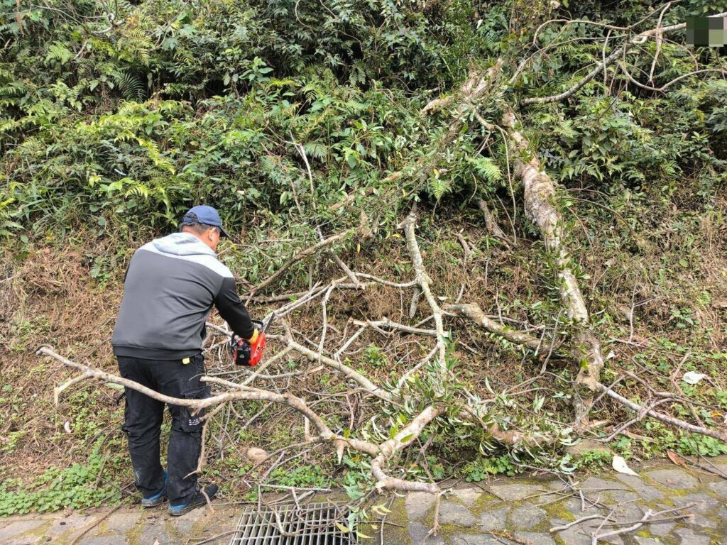 大溪台7線落枯木擋道-警民合作迅速清除