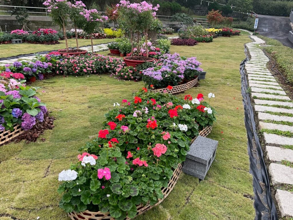 採果、賞花、品茗-春節走春到-「臺北市休閒農場」