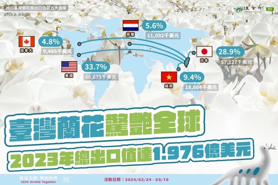 臺灣蘭花驚艷全世界　年外銷值超過60億