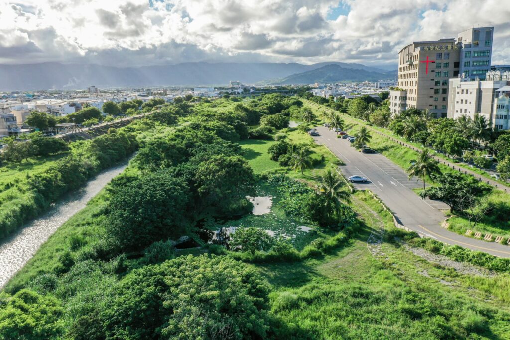 太平溪濕地候鳥認證-來訪鳥類數量與種類漸增