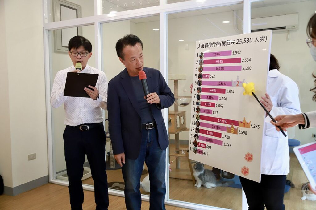 喵星人認養公開抽籤　15隻貓咪找到新家