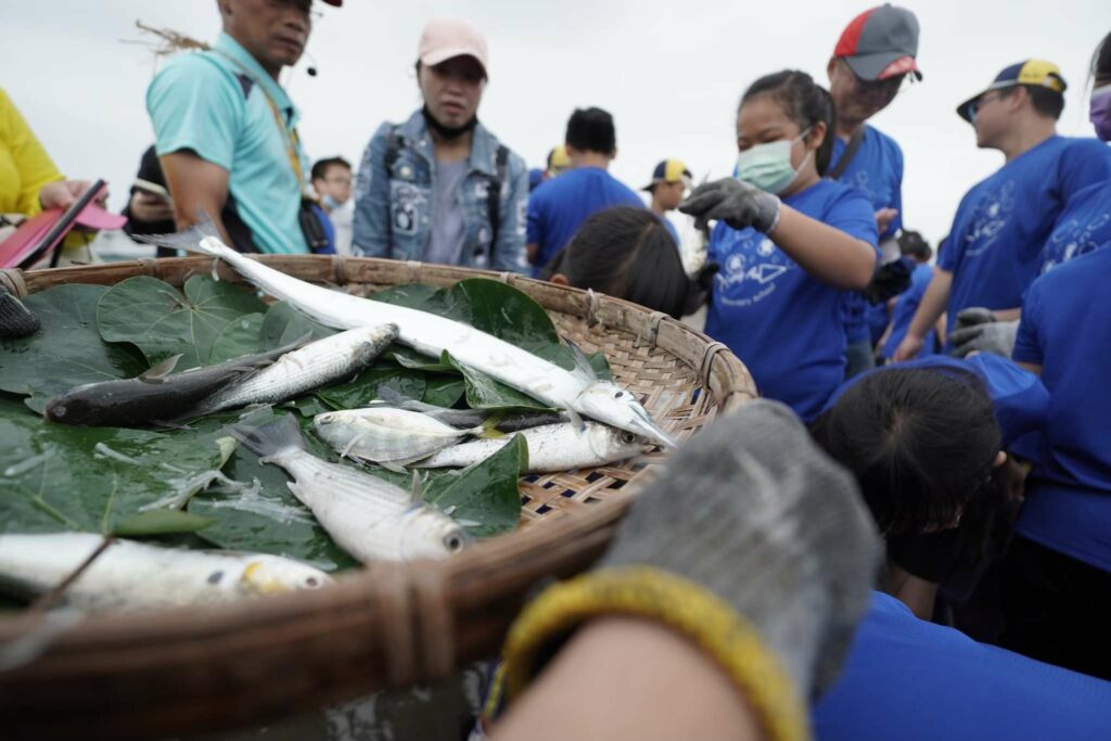 桃園環保局推廣海洋環境教育-「里海學堂」3/15報名開跑