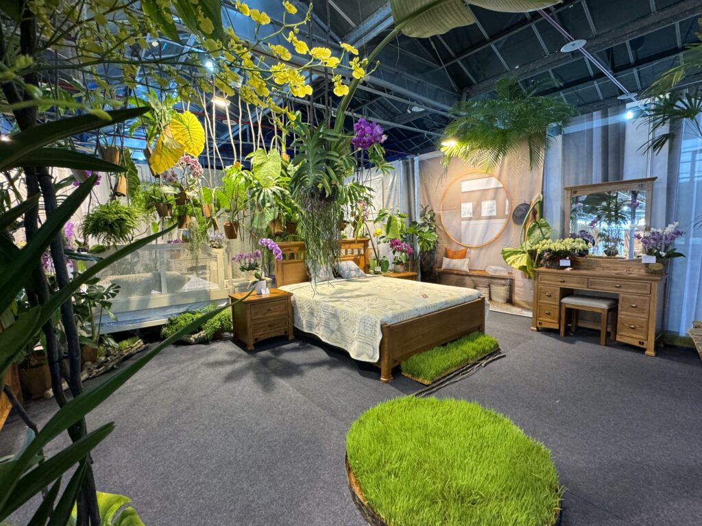 引領植感日常打造療癒空間　台灣國際蘭展邀您用蘭花妝點居家生活