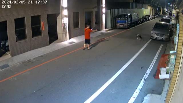 【有片】流浪狗路邊睡覺-突遭怪男持空氣槍掃射