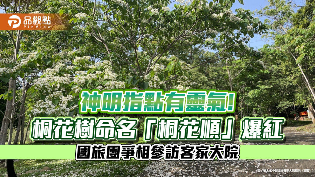 神明指點有靈氣！桐花樹命名「桐花順」爆紅-國旅團爭相參訪客家大院