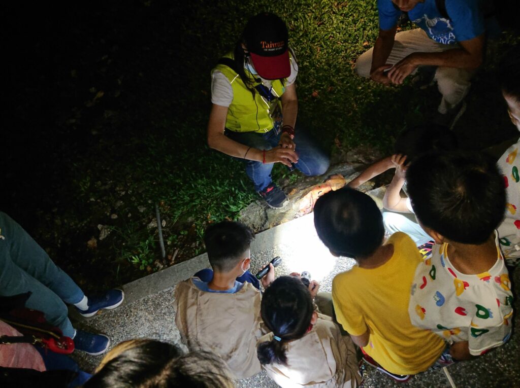 「夜訪小野柳」-四月起富岡地質公園重磅登場