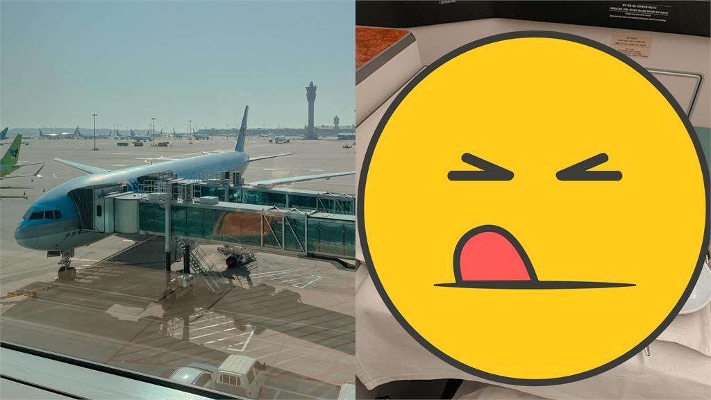 南韓知名航空擁有「全球最棒飛機餐」　實測記者狂讚：比餐廳好吃