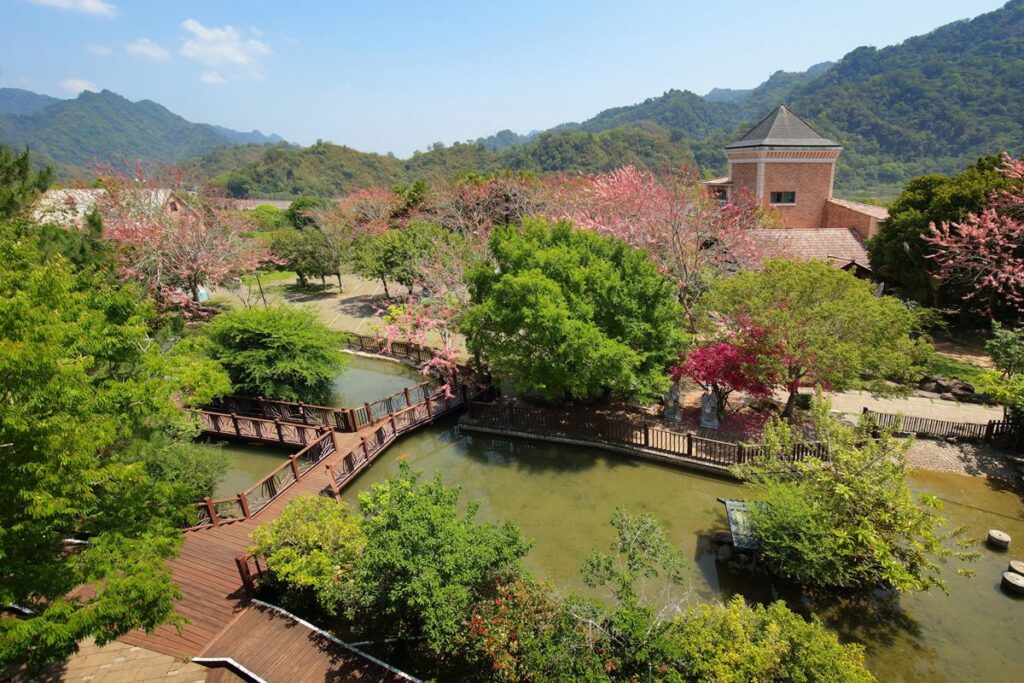 絕美桃紅花旗木登場苗栗大湖「巧克力雲莊」-母親節限定莓果巴斯克新品預購優惠