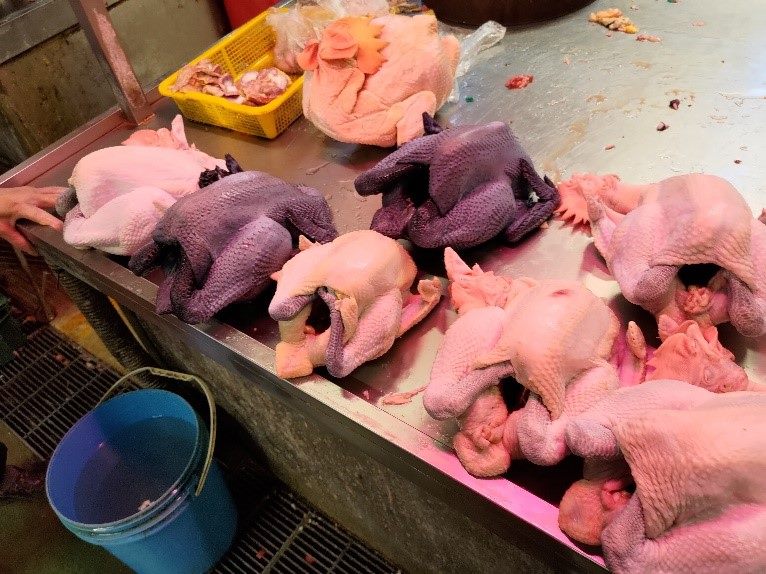 北市抽驗生鮮禽肉及蛋品　7件動物用藥殘留超標