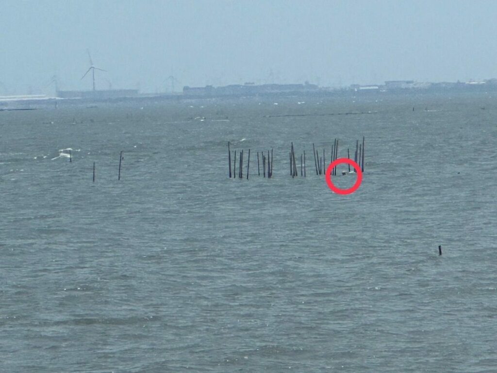 蚵農受困蚵田孤立無援-　海巡乘風破浪前往救回