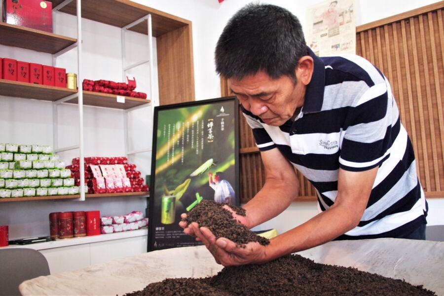 台東紅烏龍風味佳！允芳茶園冷萃茶入選國宴飲品