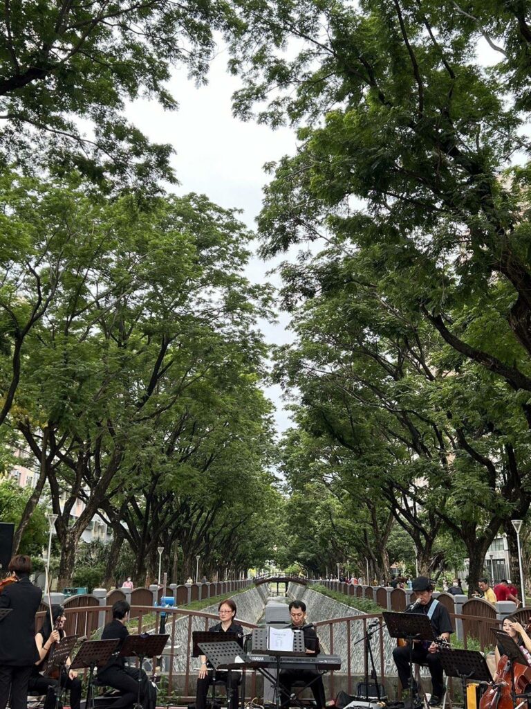 雨豆樹下音樂饗宴-　楠梓區水與花相遇時刻