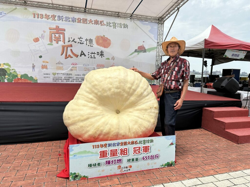 全國大南瓜比賽　農友陳灯燃以657台斤的大南瓜奪冠　淡水金色水岸今展出