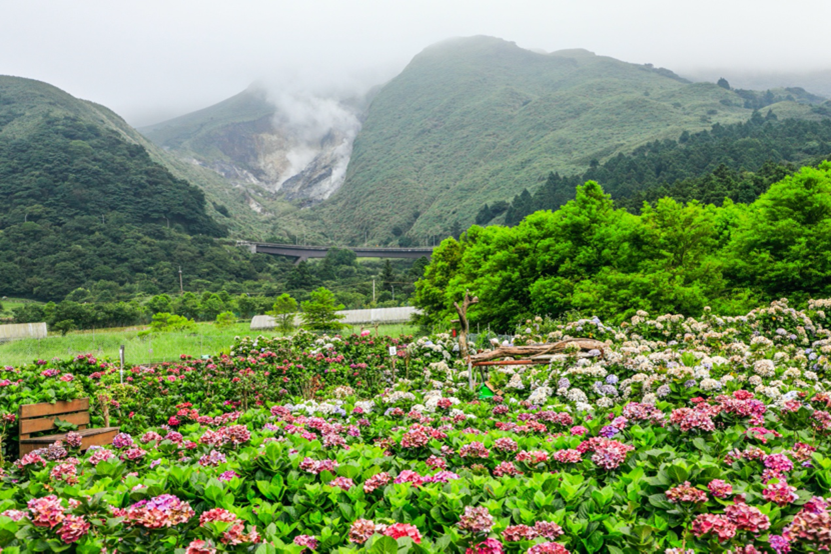 花季過後正精彩！voyage陽明山攜手在地農友推首條「綠色保育」遊程