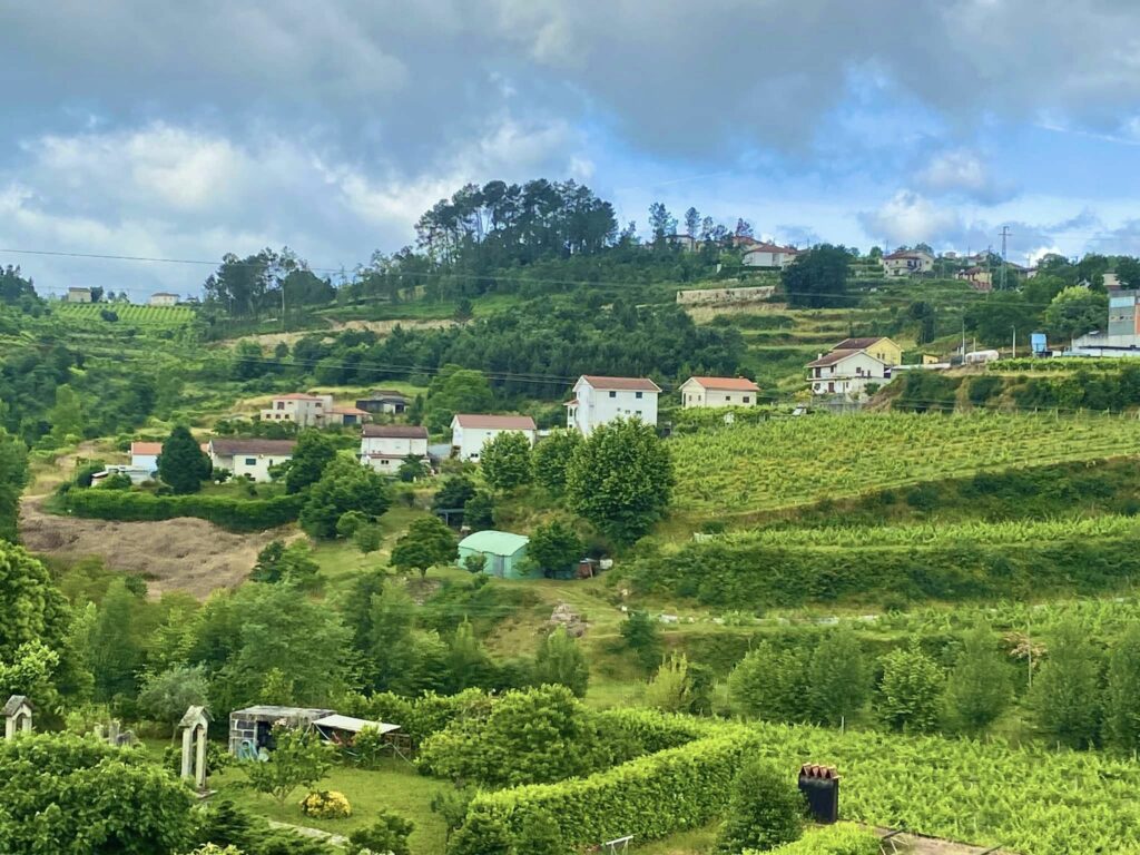 副刊／波特酒原鄉——杜羅河谷