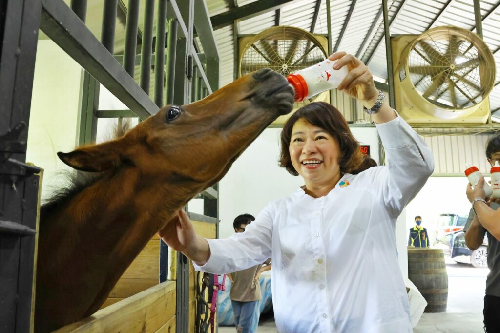 嘉義榮譽市馬lulu喜添丁　黃敏惠市長親送「月子禮」祝福