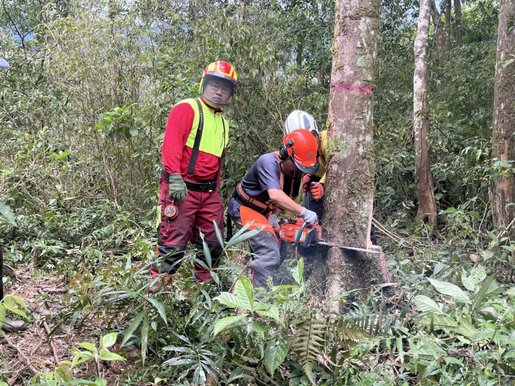 林業復興-攜手雙連埤邁向永續林業