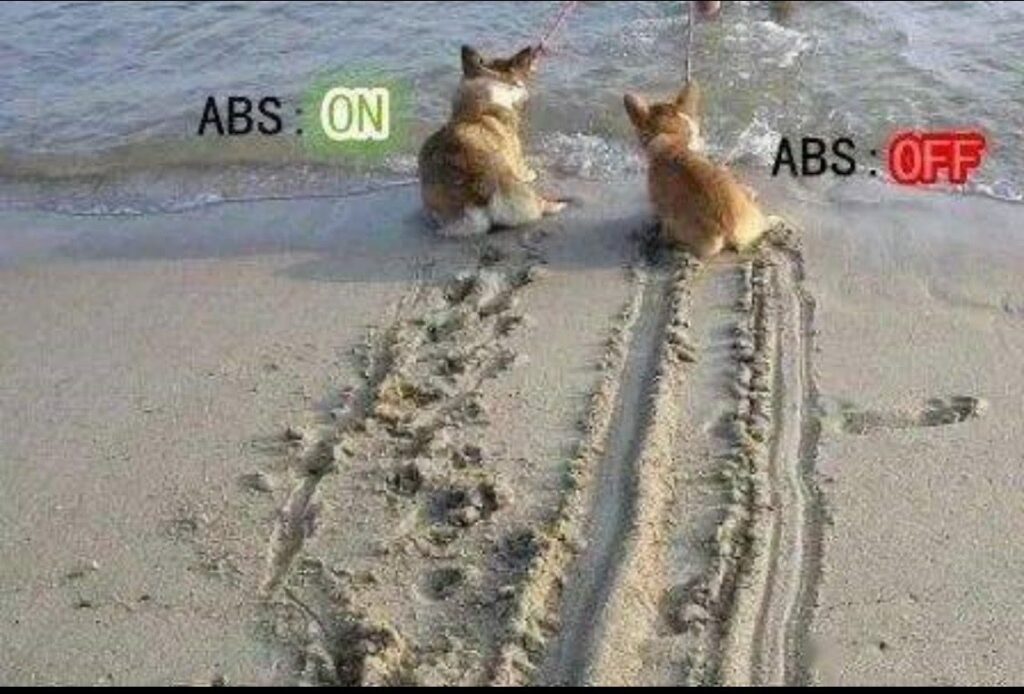 abs與cbs煞車系統大戰！生命無價-vs.-經濟至上