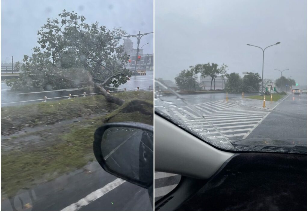 凱米狂襲！宜蘭多處路樹傾倒-部分地區停電
