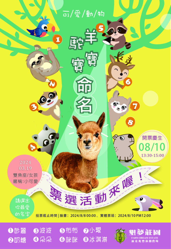 兆豐羊駝寶寶命名慶生派對暨父愛如山88有禮父親節優惠