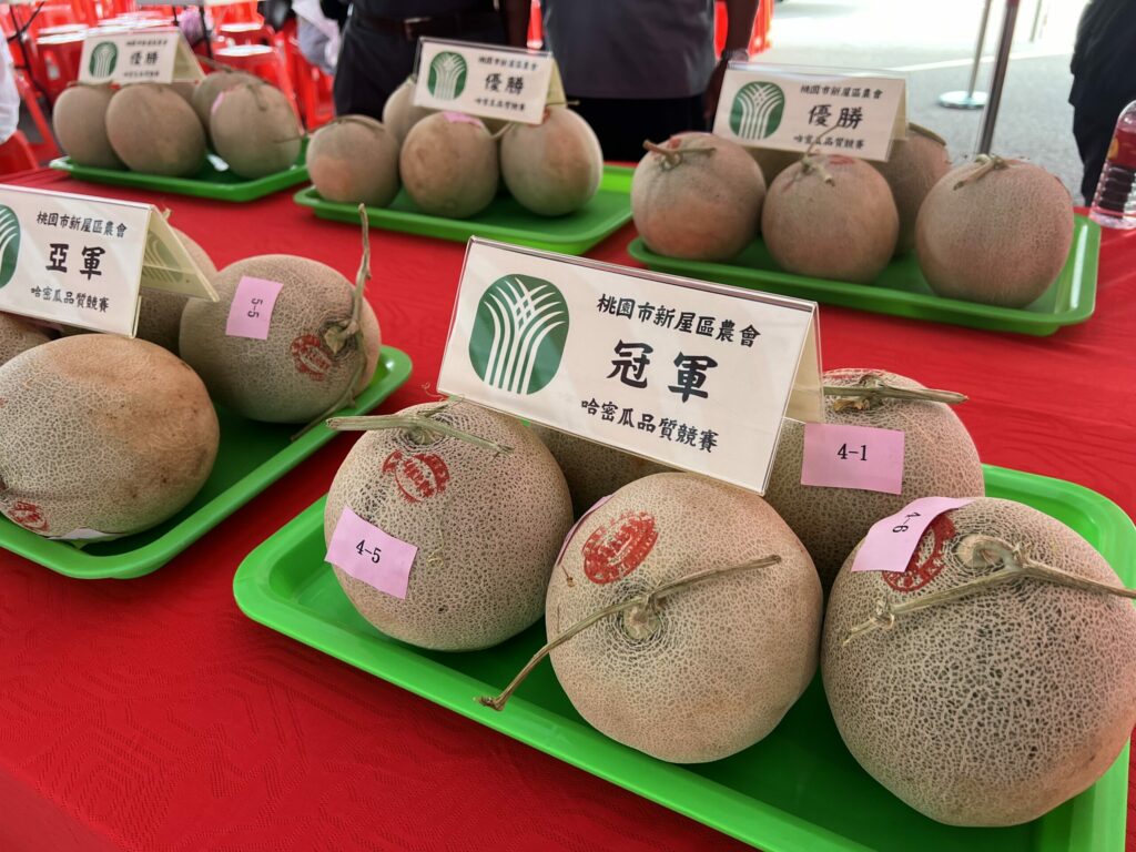 新屋哈密瓜評鑑活動登場-最甜蜜瓜王、冠軍揭曉