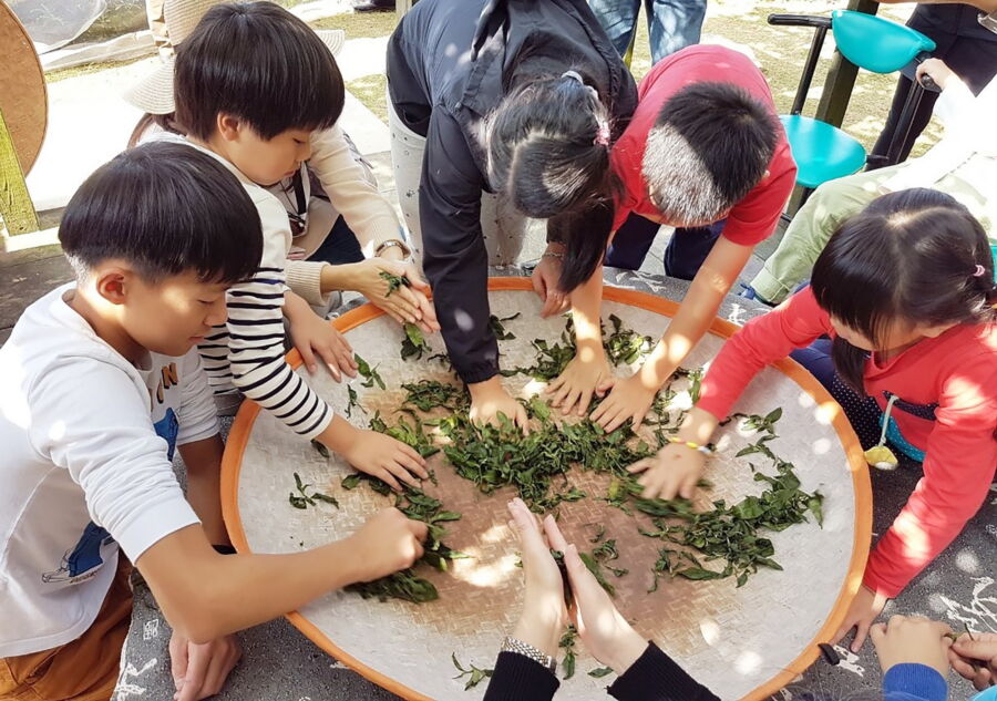 中秋節小旅行　新北市圖邀親子體驗月見豆腐與茶鄉風情
