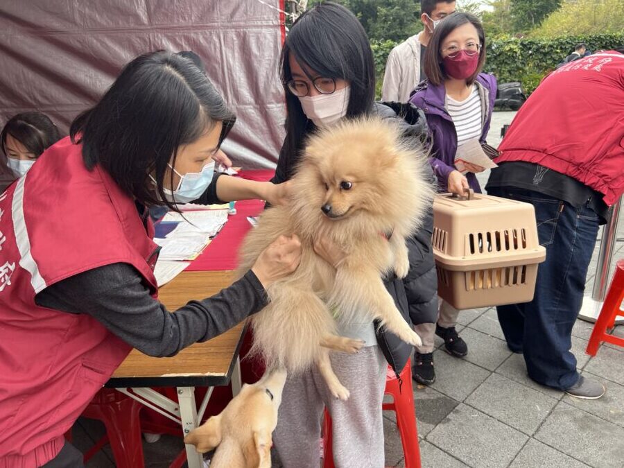 響應世界狂犬病日　中和四號公園辦汪喵毛寶貝愛寵live音樂會