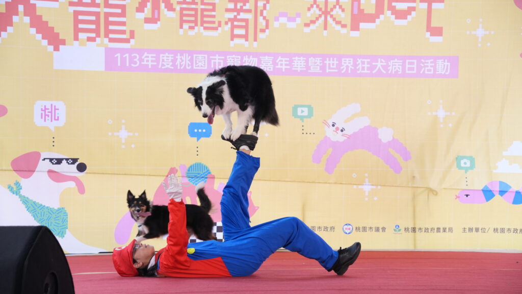寵物嘉年華響應世界狂犬病日-桃園「汪汪隊」驚喜現身超吸睛