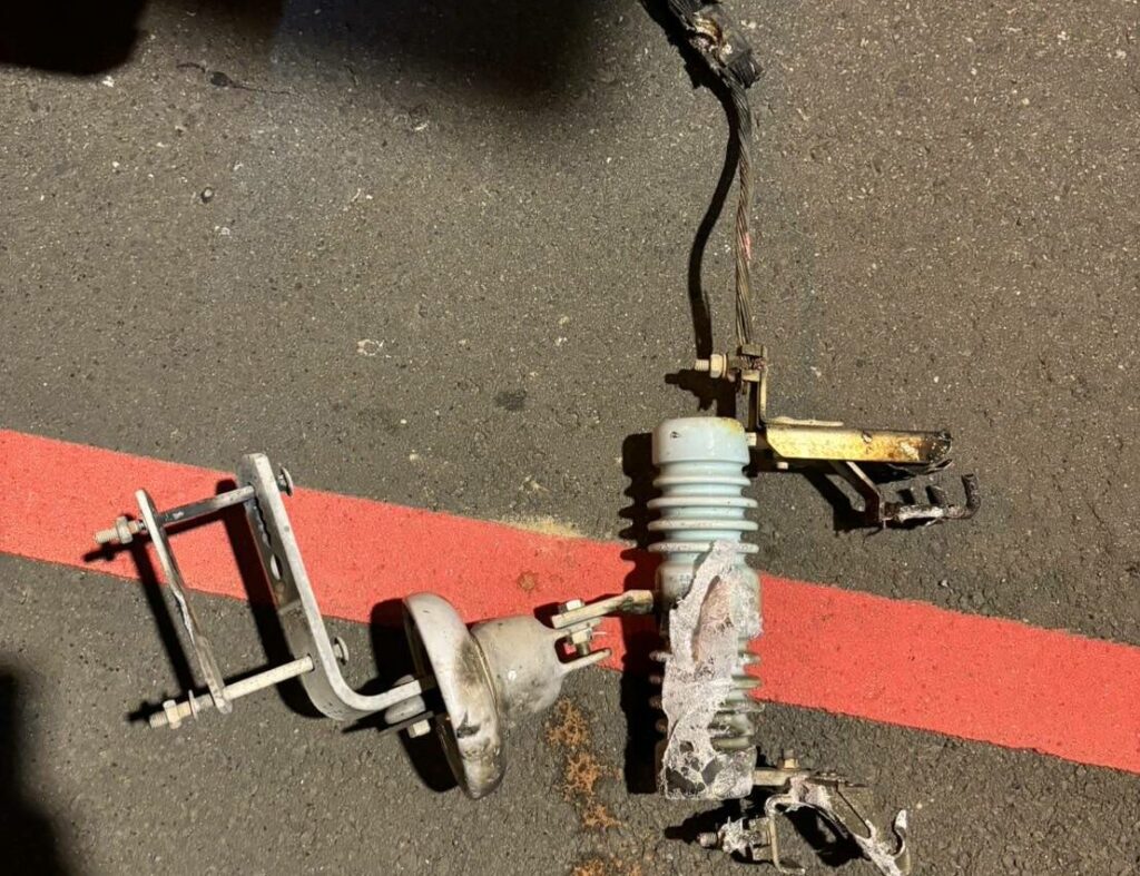 【有片】桃園新屋逾千戶停電-台電揭兇手是「它」